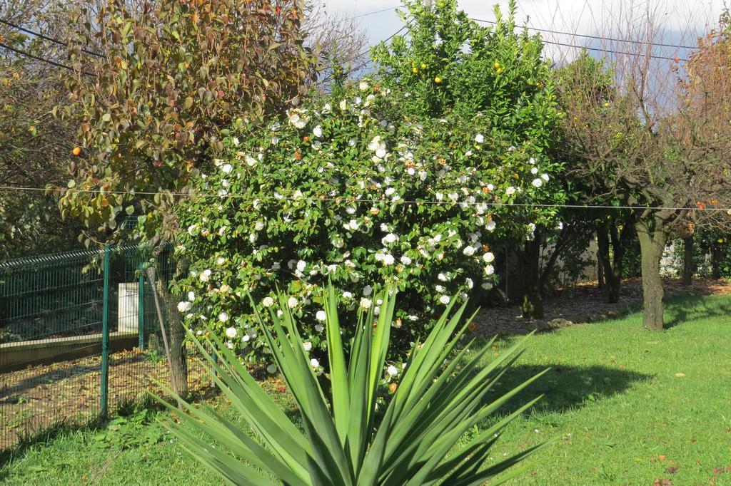 Sweet Home Braga Hostel & Guest House Exterior foto